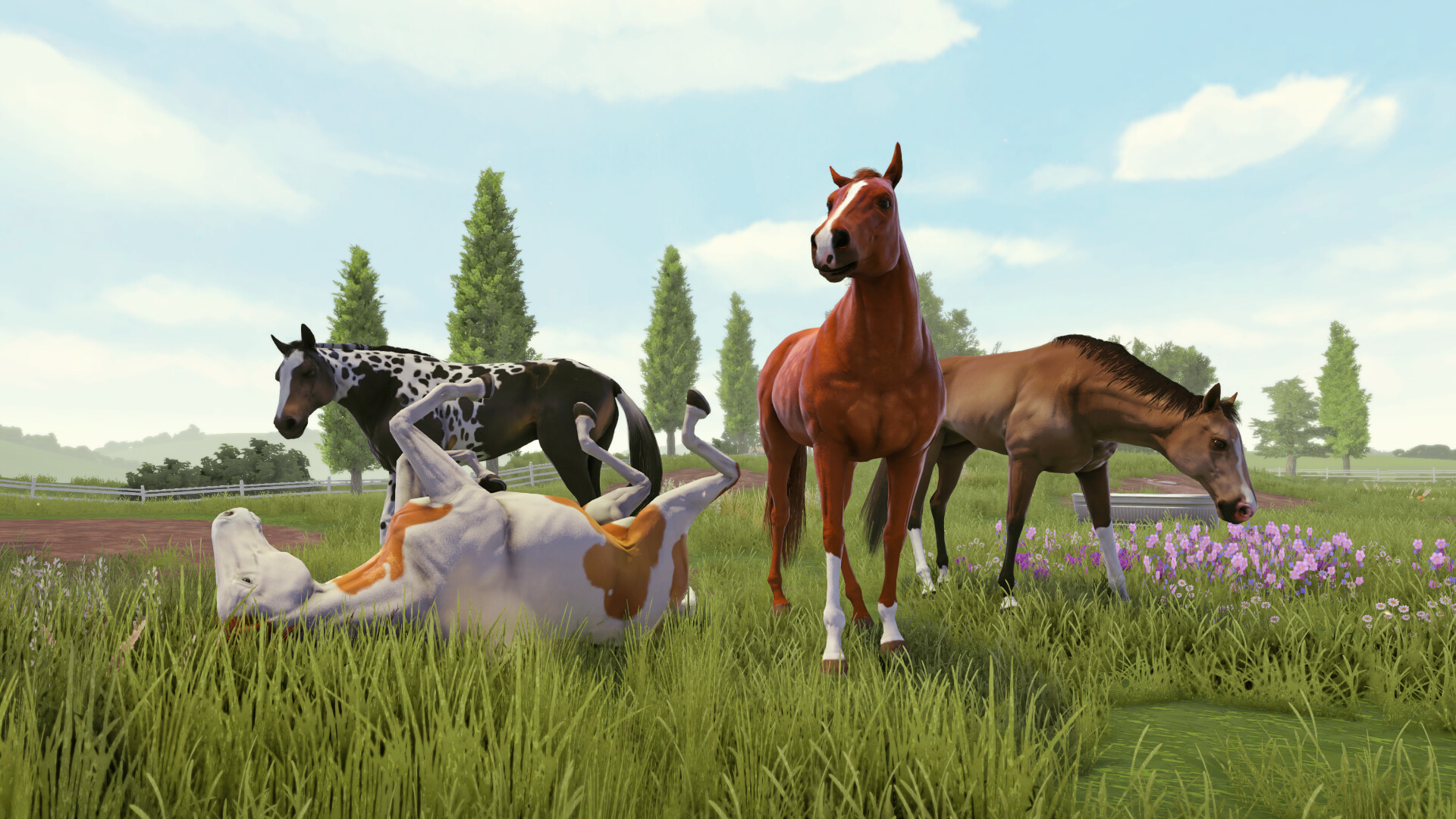 图片[8]-家族传奇：马匹养成竞技|Rival Stars Horse Racing|1.40.1-萌芽游戏