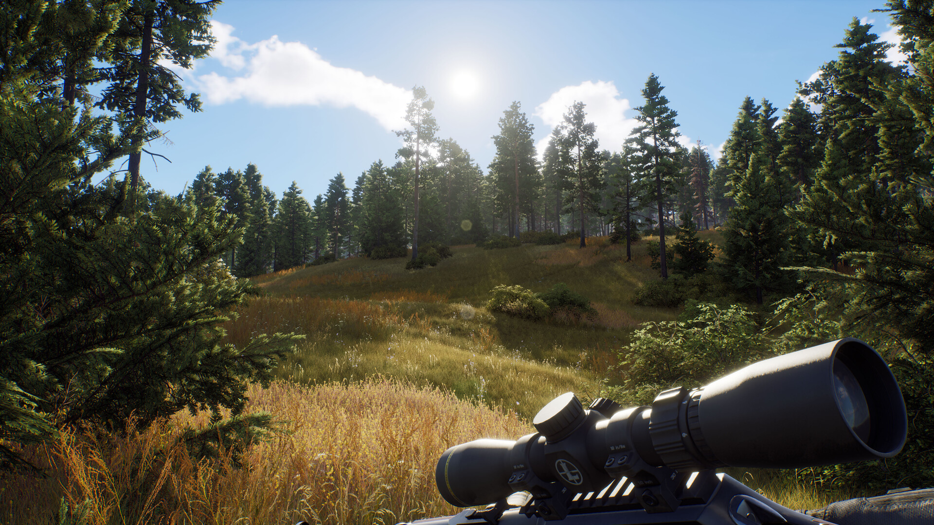 图片[3]-狩猎之道|Way of The Hunter|1.31|整合全DLC-萌芽游戏