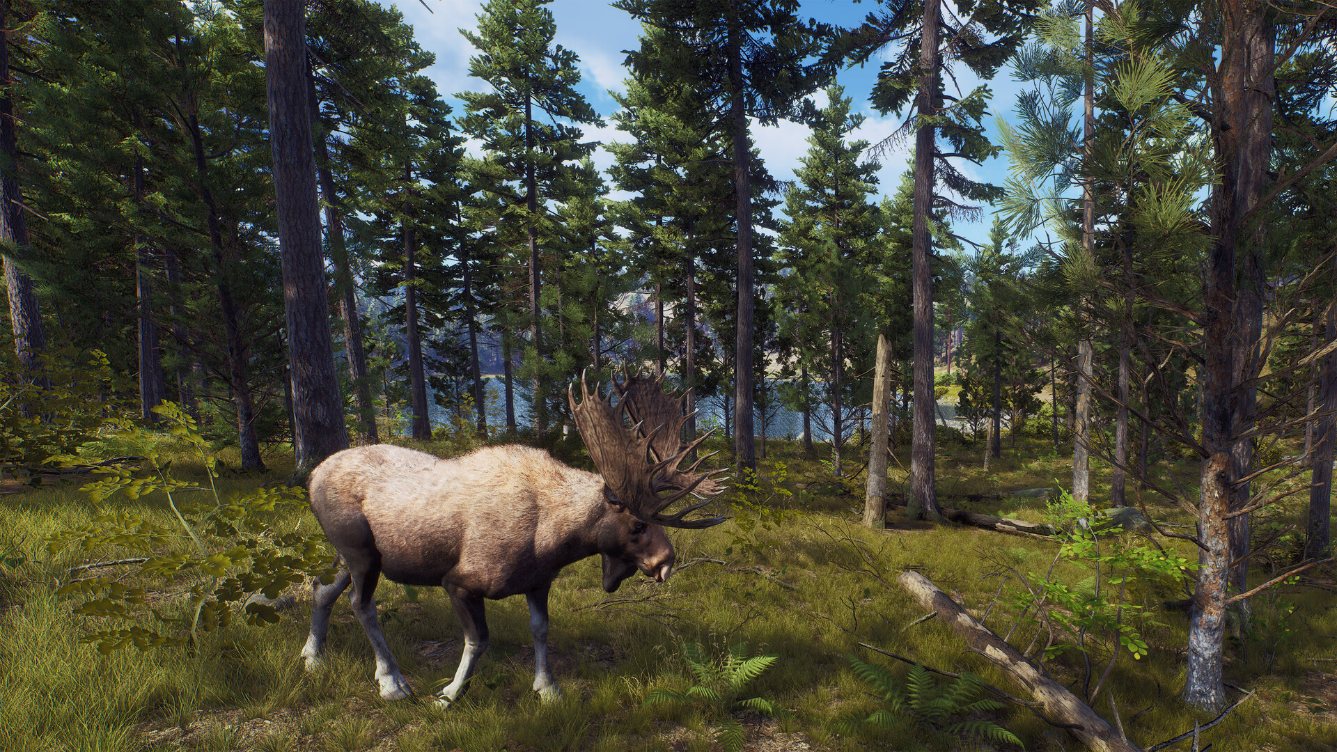 图片[18]-狩猎之道|Way of The Hunter|1.31|整合全DLC-萌芽游戏