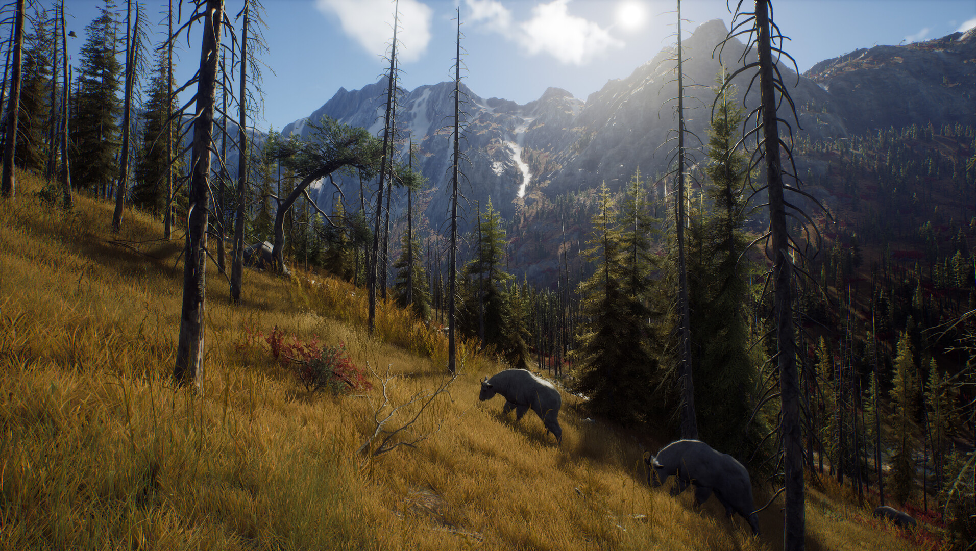 图片[15]-狩猎之道|Way of The Hunter|1.31|整合全DLC-萌芽游戏