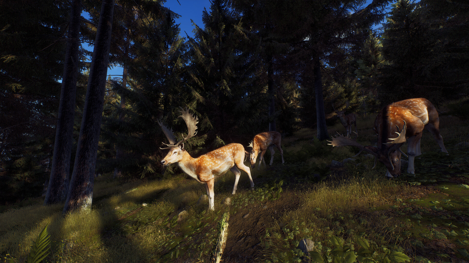 图片[2]-狩猎之道|Way of The Hunter|1.31|整合全DLC-萌芽游戏