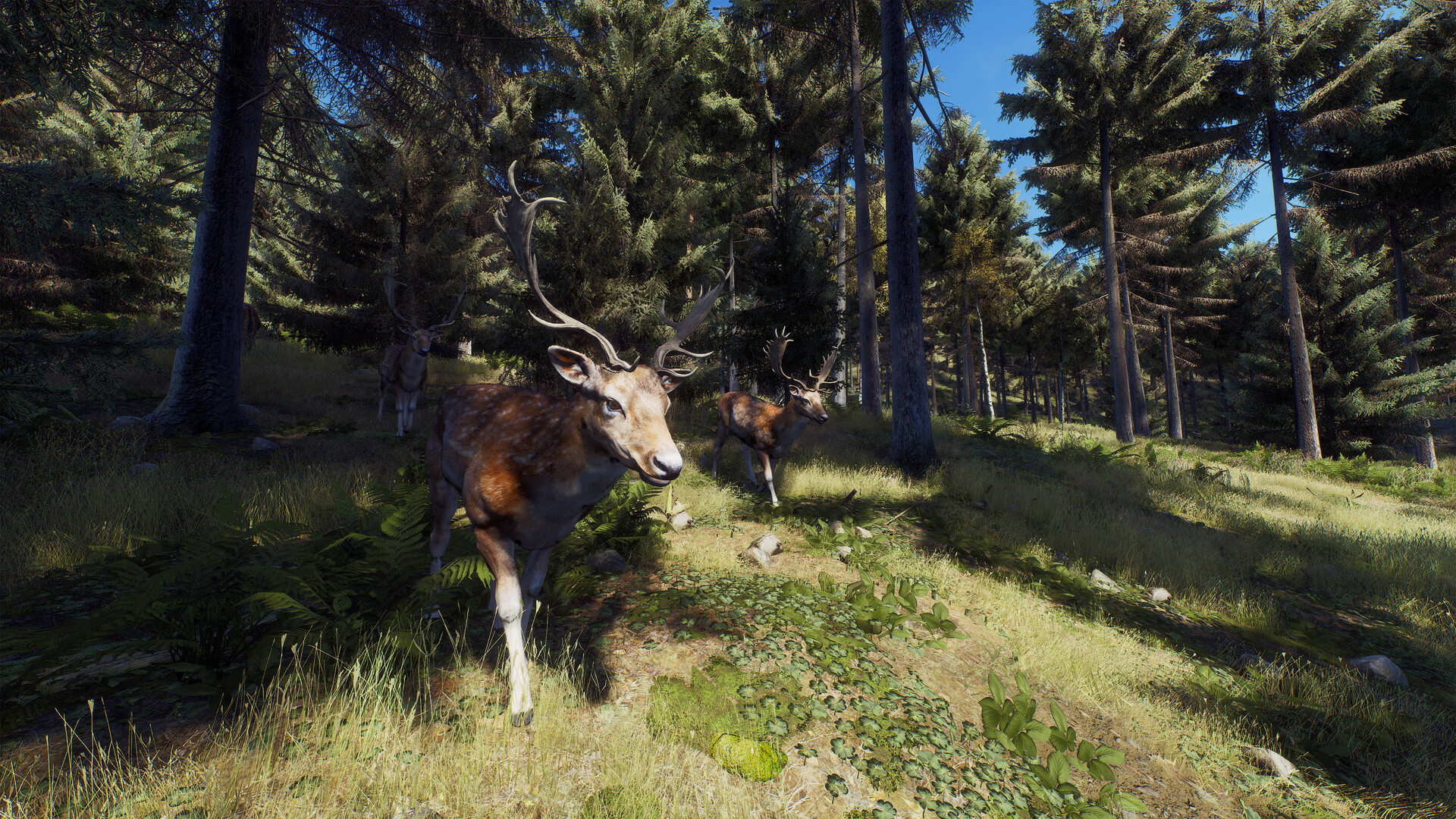图片[22]-狩猎之道|Way of The Hunter|1.31|整合全DLC-萌芽游戏