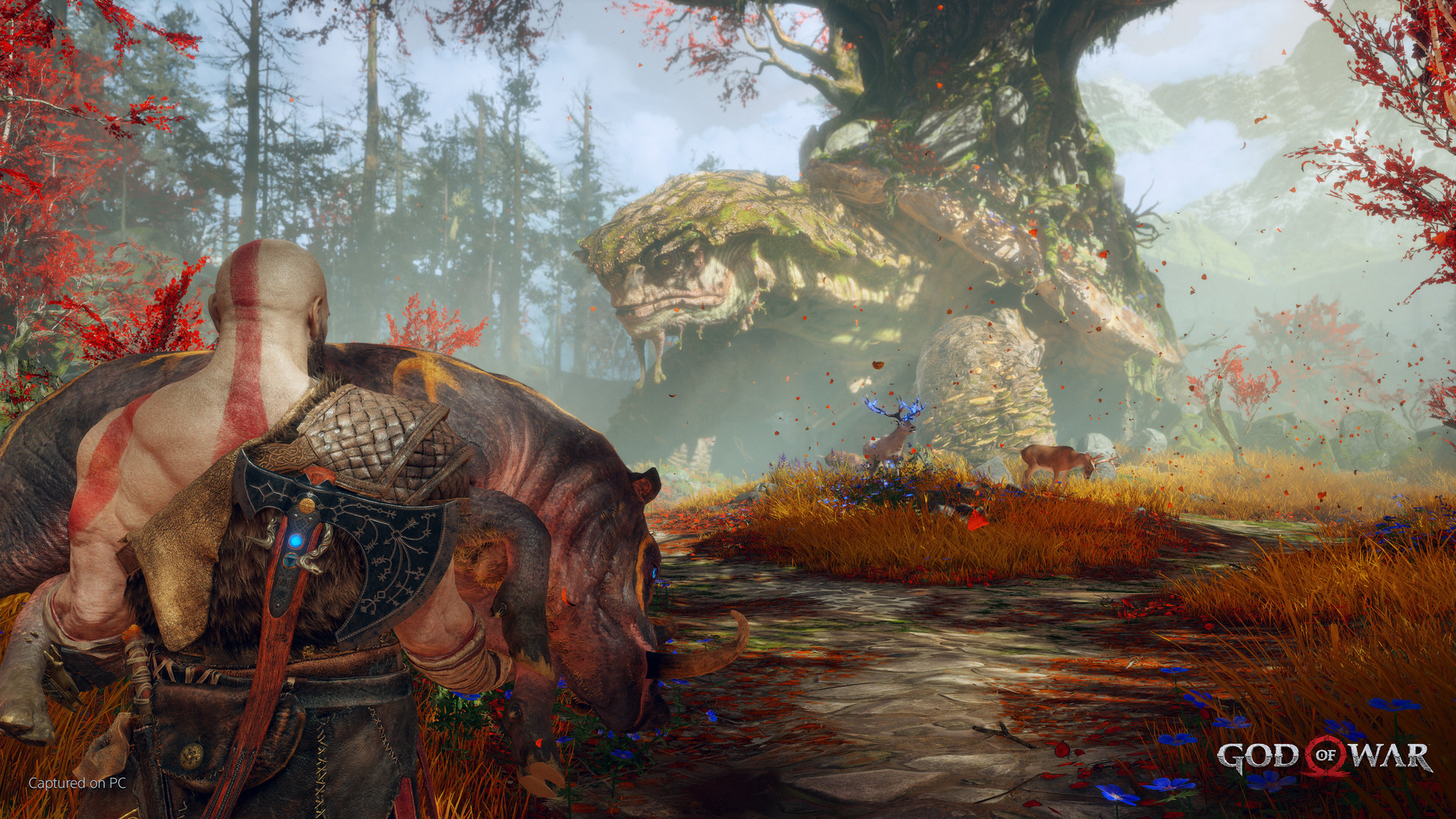 God of War 截图 8