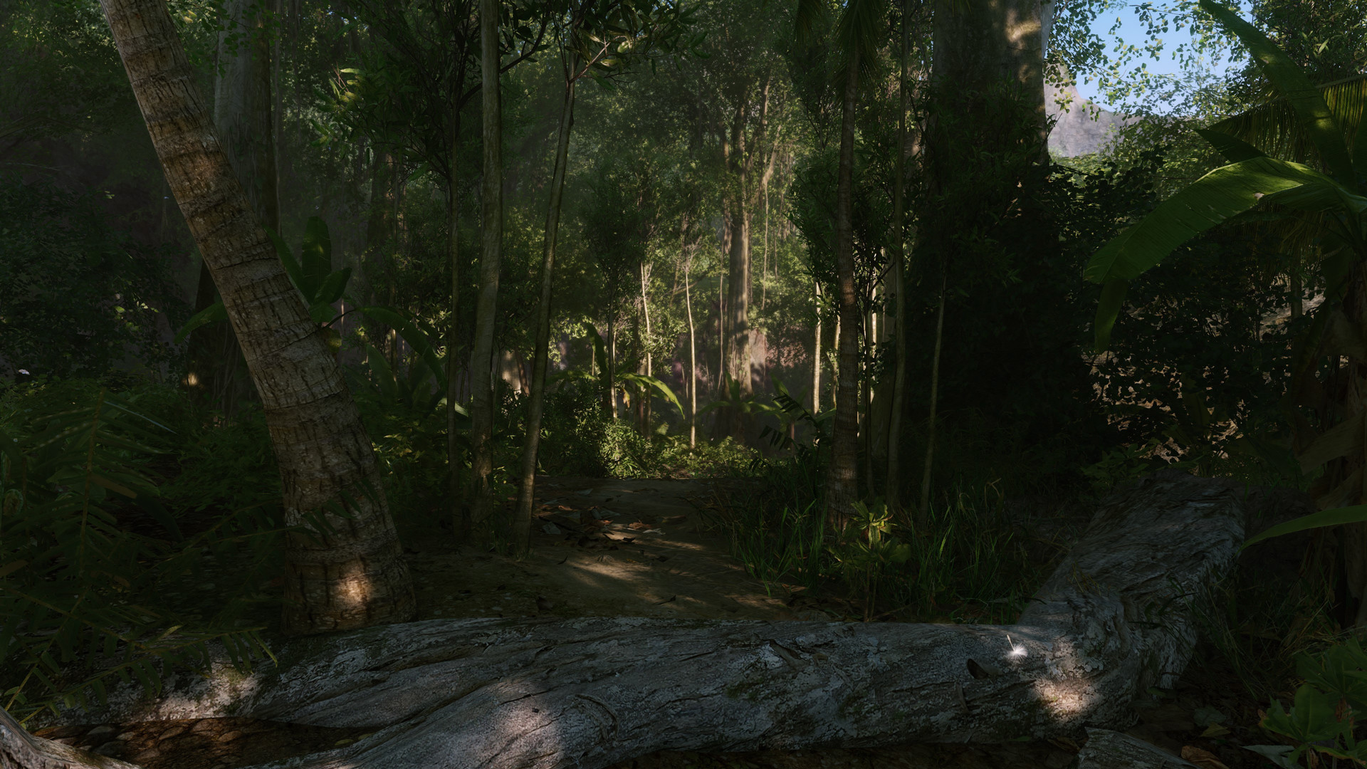 图片[4]-孤岛危机：重制版|Crysis Remastered|Build8139684-萌芽游戏
