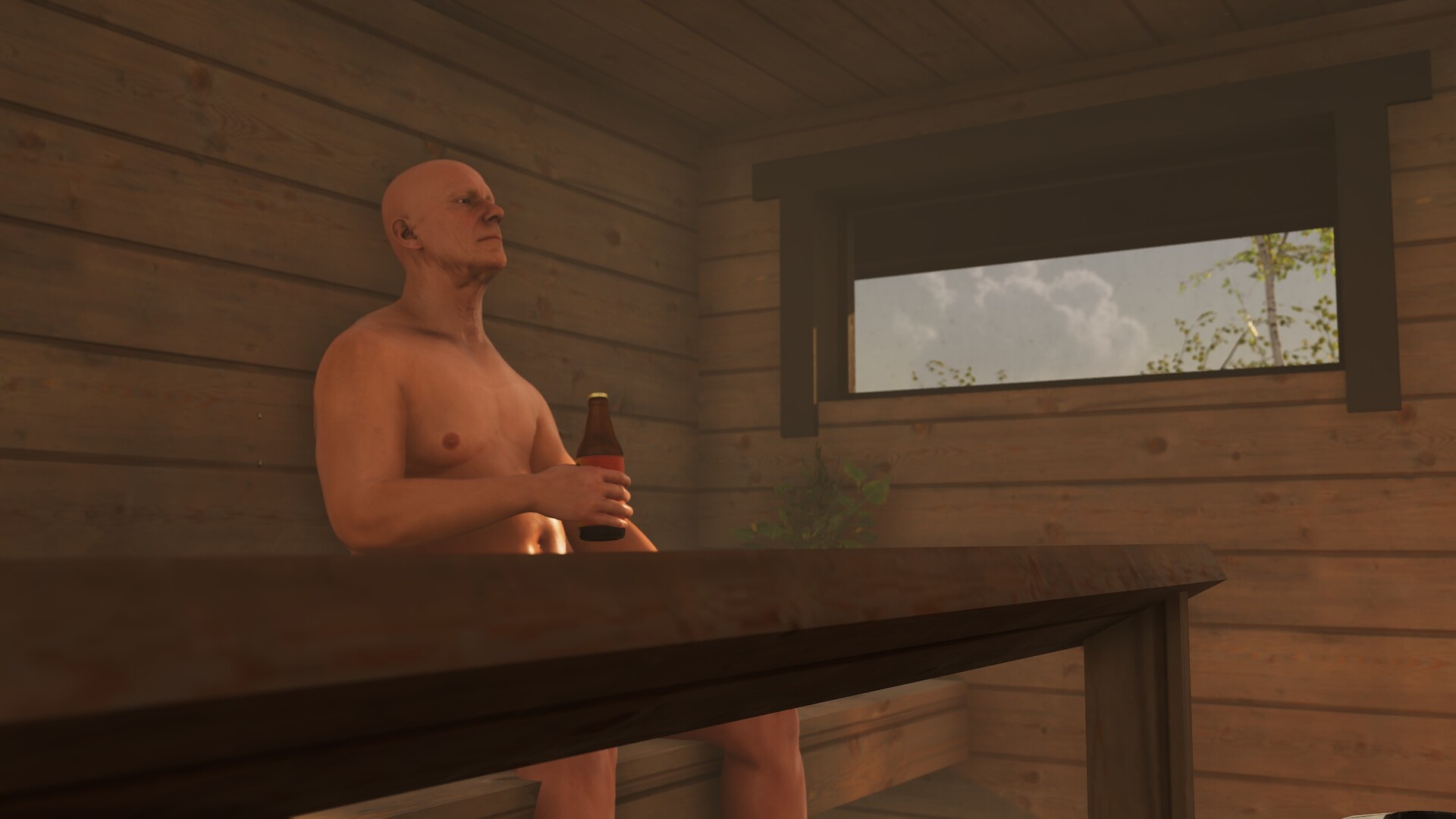 Finnish Cottage Simulator 截图 2