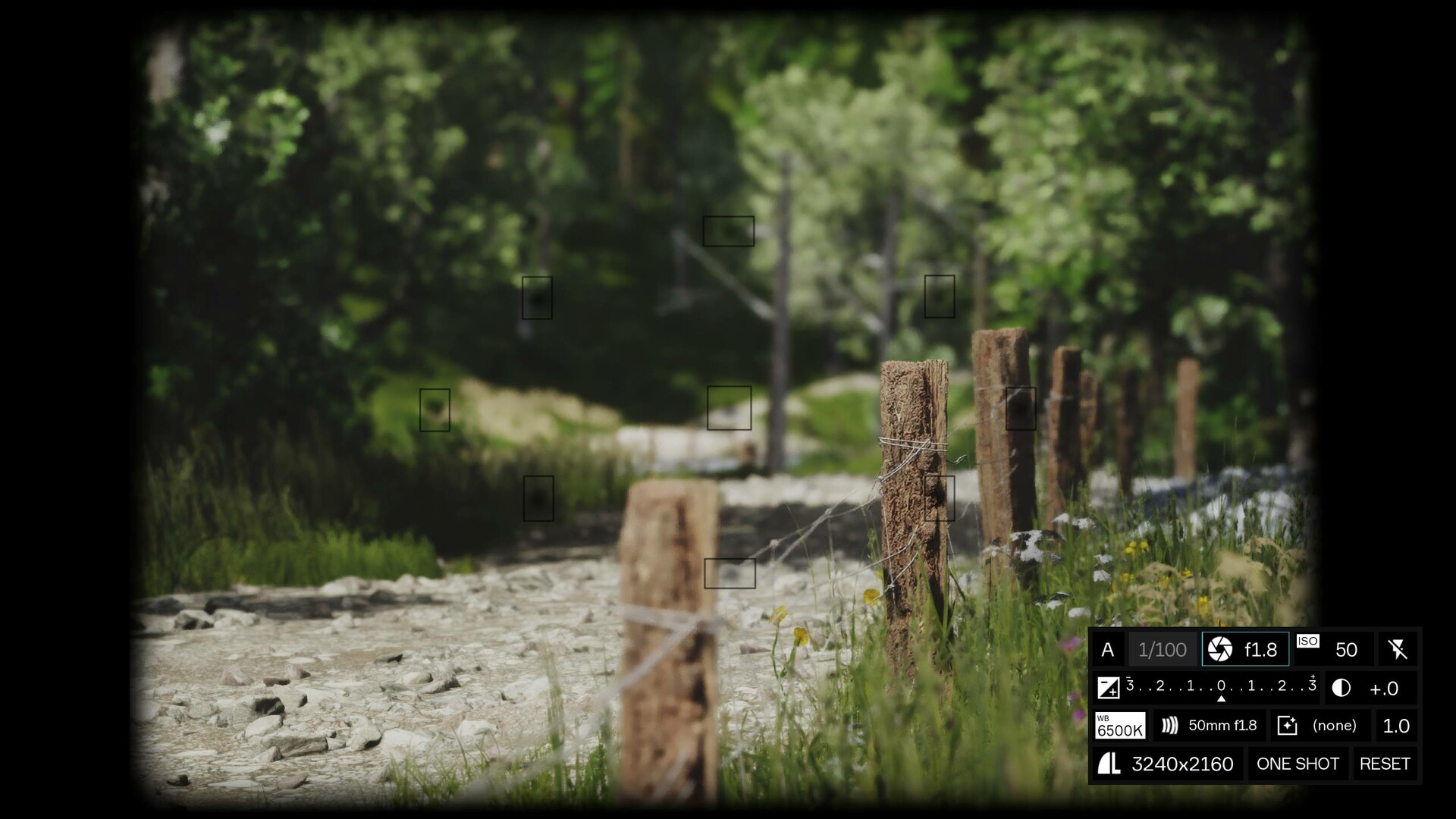 图片[4]-模拟美景摄影|Lushfoil Photography Sim|Build22758382-萌芽游戏