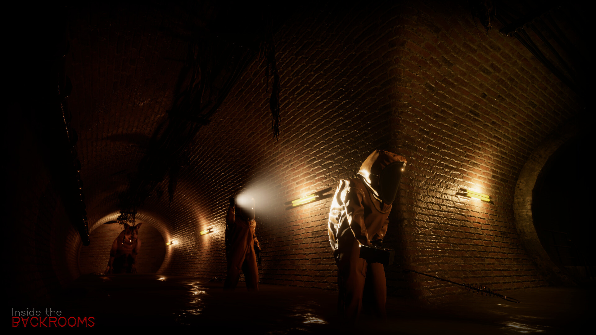 Inside the Backrooms 截图 11