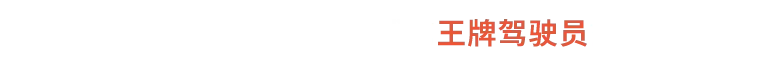 图片[2]-[虚拟机版]皇牌空战8：希孚之翼|Ace Combat 8 Wings of Theve|Build25201480-萌芽游戏