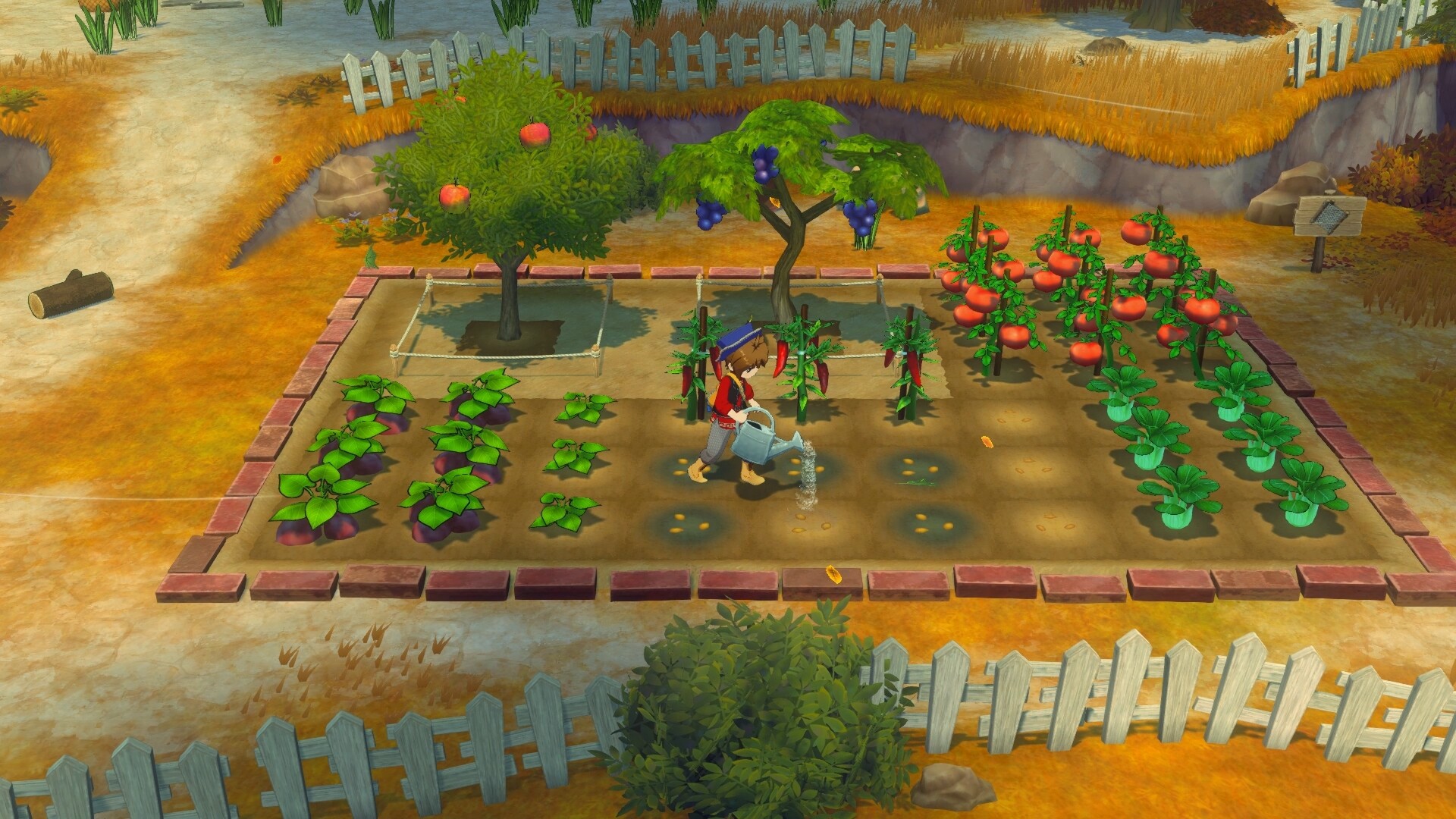图片[1]-牧场物语 来吧！风之繁华集市|Story of Seasons Grand Bazaar|1.4.0|整合全DLC-萌芽游戏