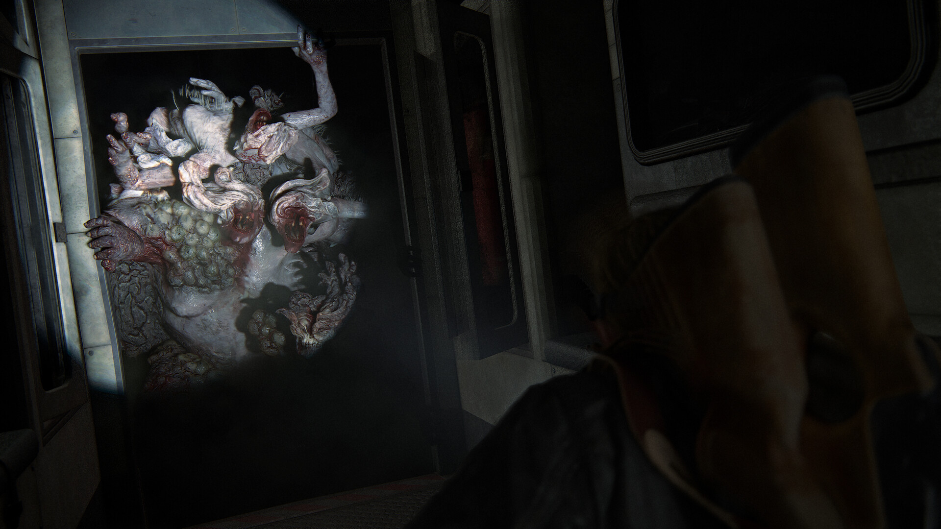The Last of Us™ Part II Remastered 截图 9