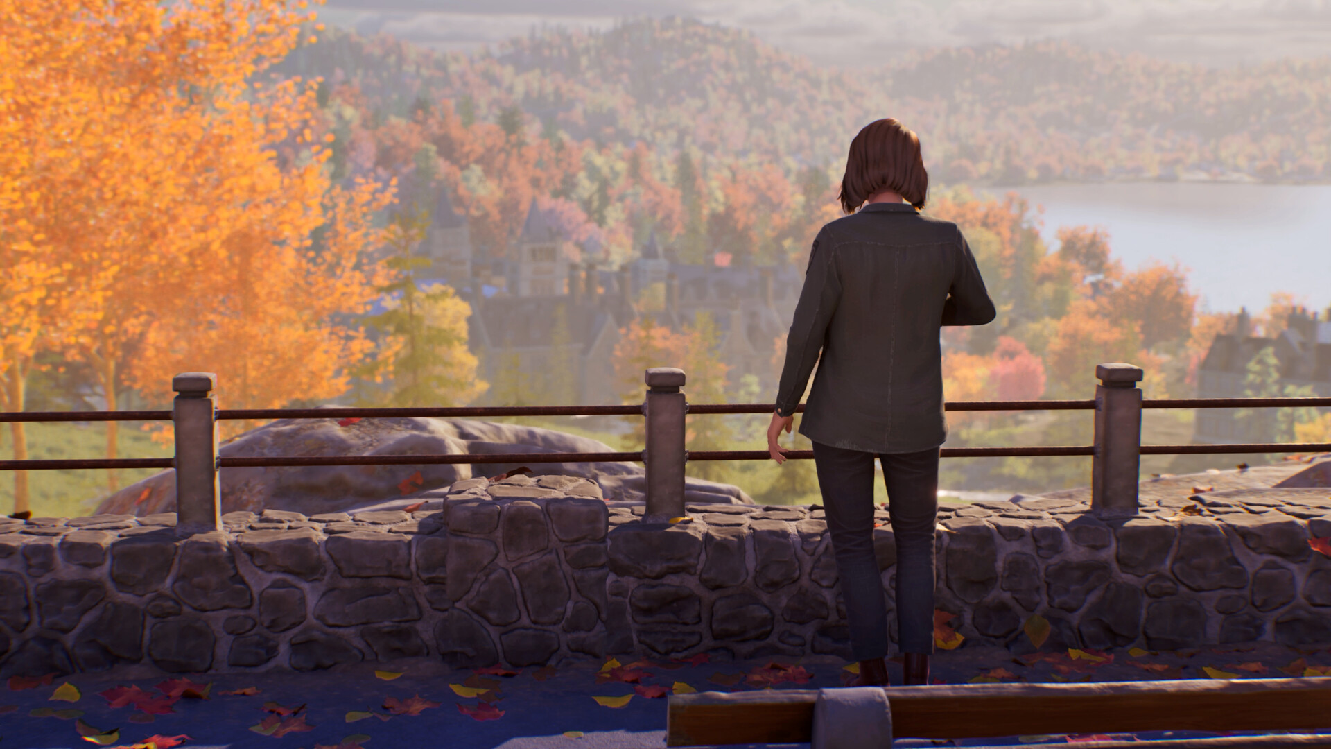 图片[7]-[虚拟机版]奇异人生：重逢|Life is Strange Reunion|Build22313698|整合全DLC-萌芽游戏
