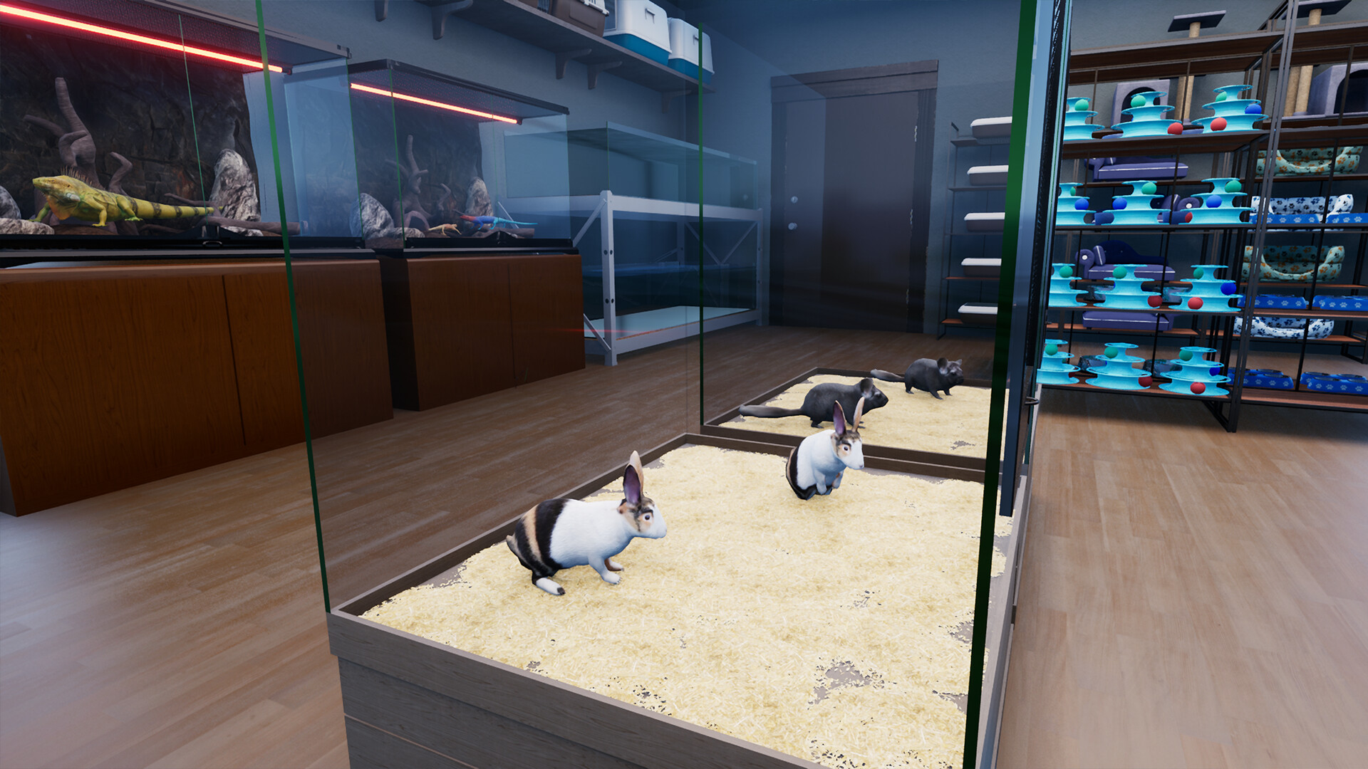 图片[2]-异域风情2：宠物店模拟器|Exotica 2 Pet Shop Simulator|1.1.6.1-萌芽游戏