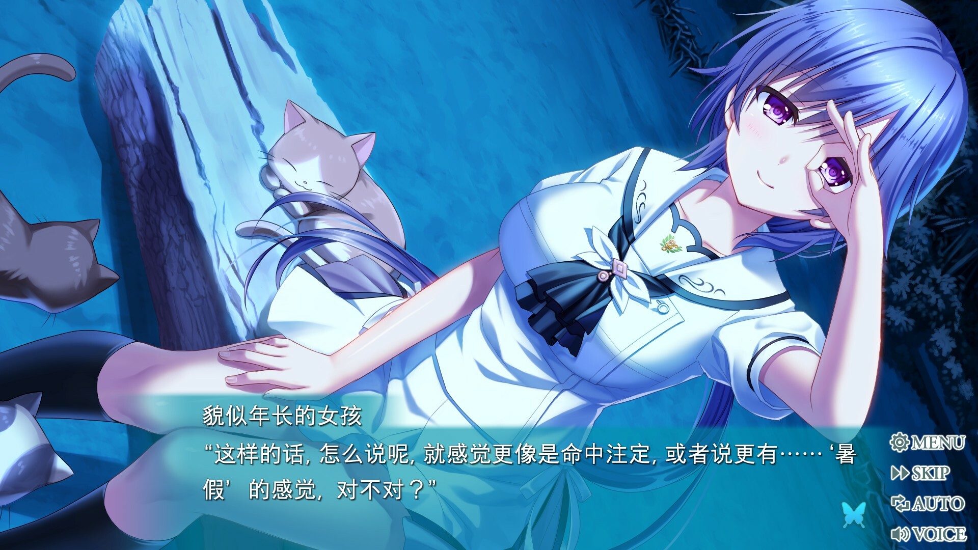 图片[16]-夏日口袋：流光蓝|Summer Pockets Reflection Blue|1.4.2.1-萌芽游戏