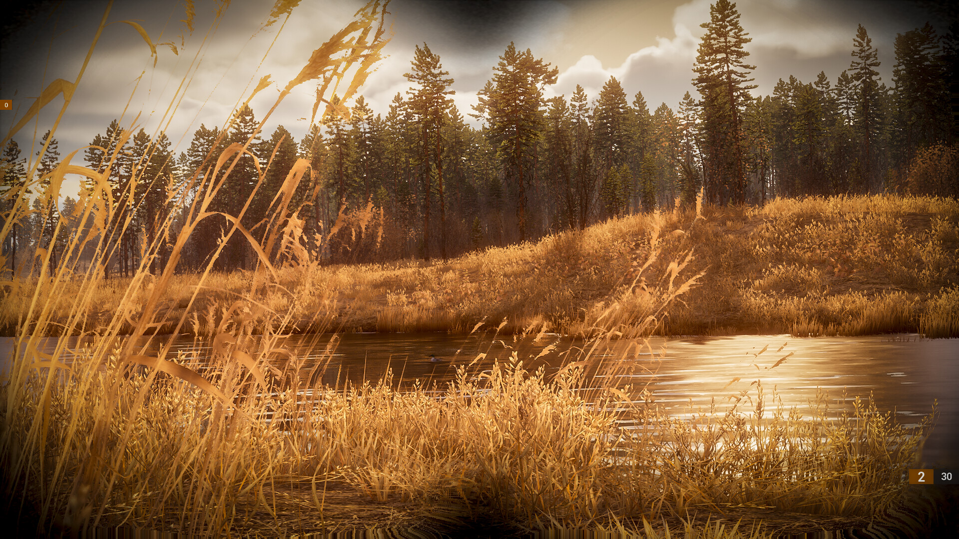 BULT: Hunting simulator 截图 11