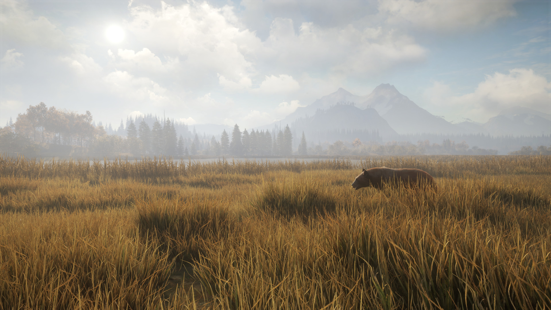图片[2]-猎人：荒野的召唤|theHunter Call of The Wild|3139192|整合全DLC-萌芽游戏