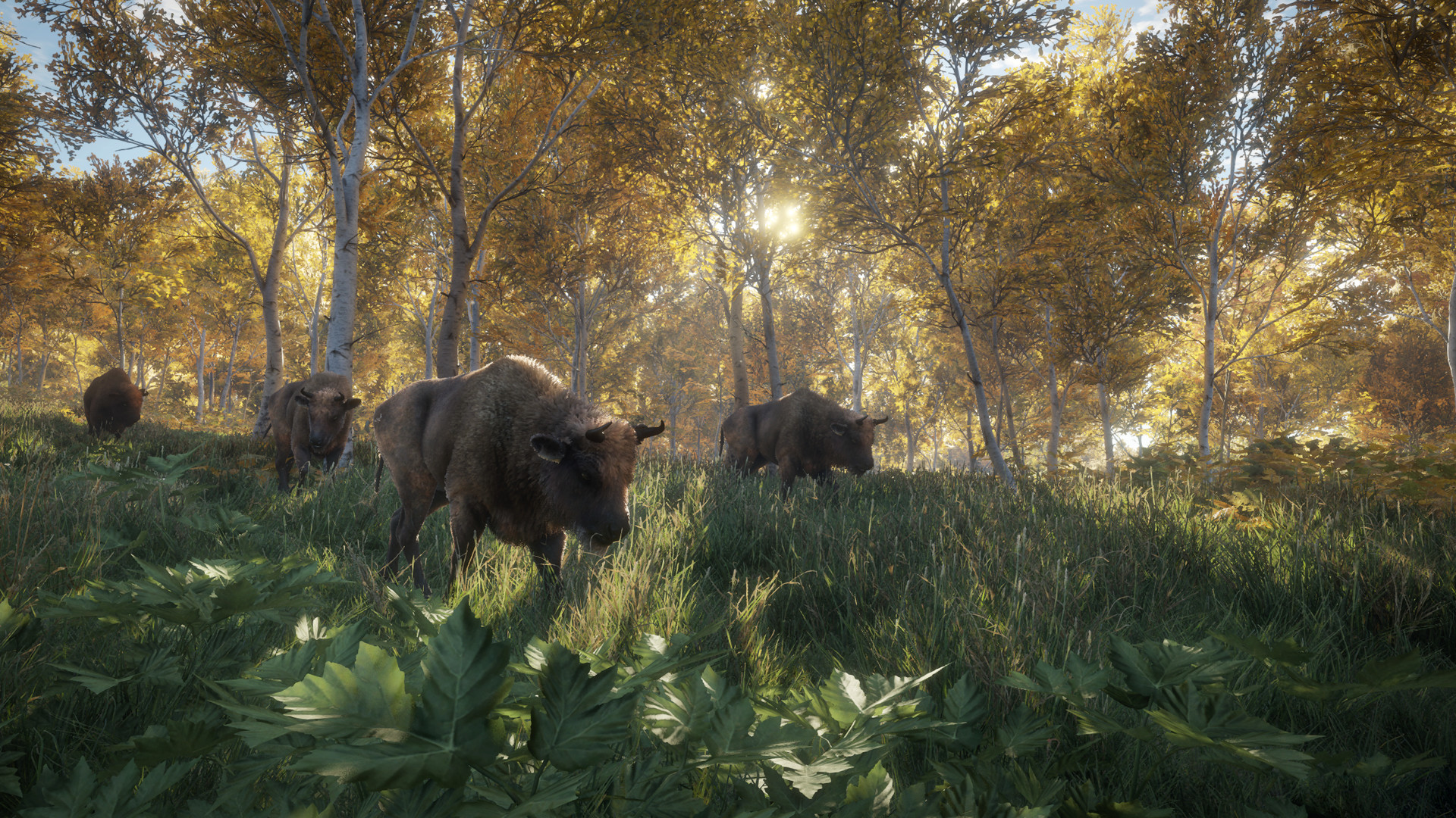 图片[21]-猎人：荒野的召唤|theHunter Call of The Wild|3139192|整合全DLC-萌芽游戏