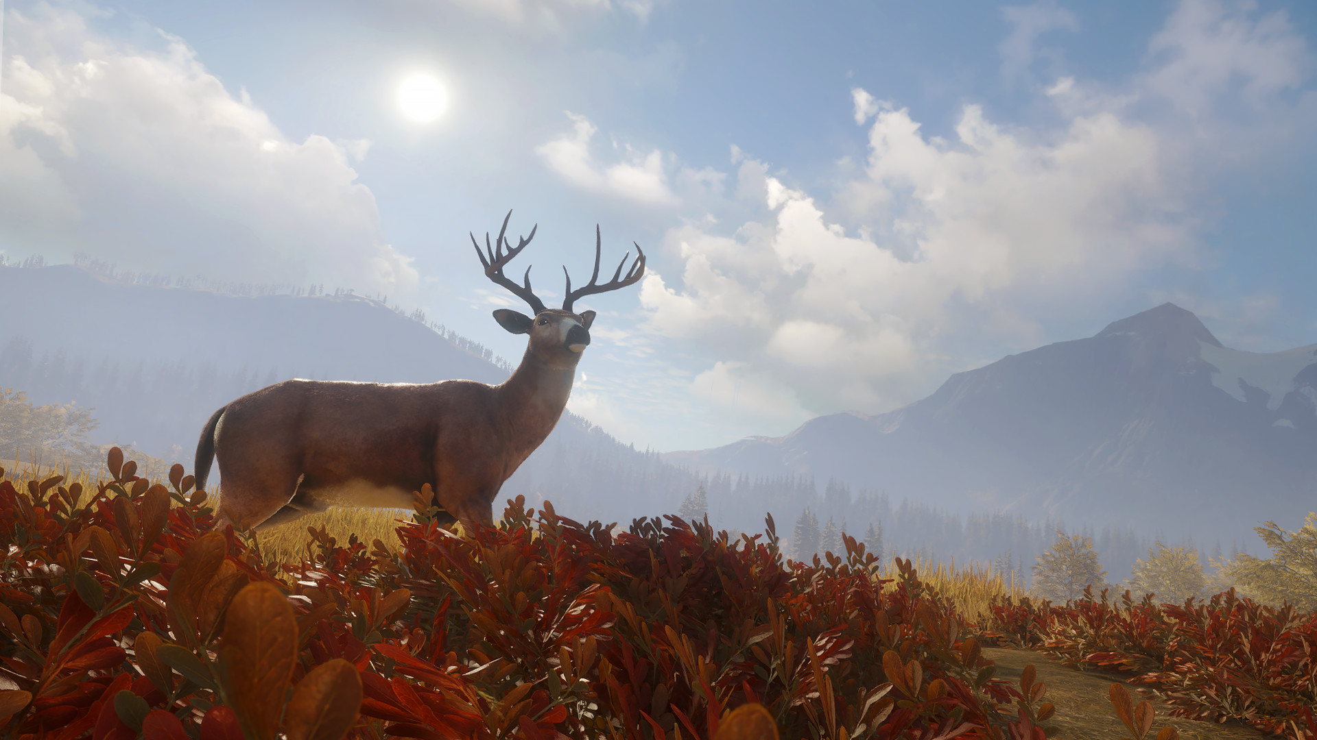 图片[9]-猎人：荒野的召唤|theHunter Call of The Wild|3139192|整合全DLC-萌芽游戏