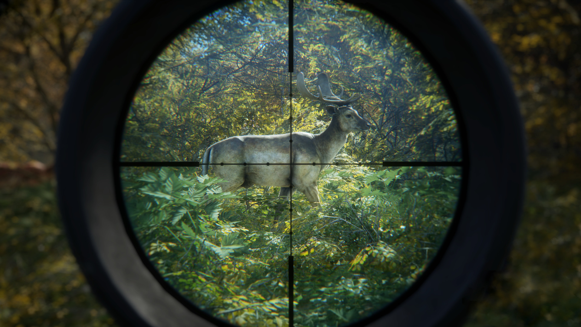 图片[3]-猎人：荒野的召唤|theHunter Call of The Wild|3139192|整合全DLC-萌芽游戏
