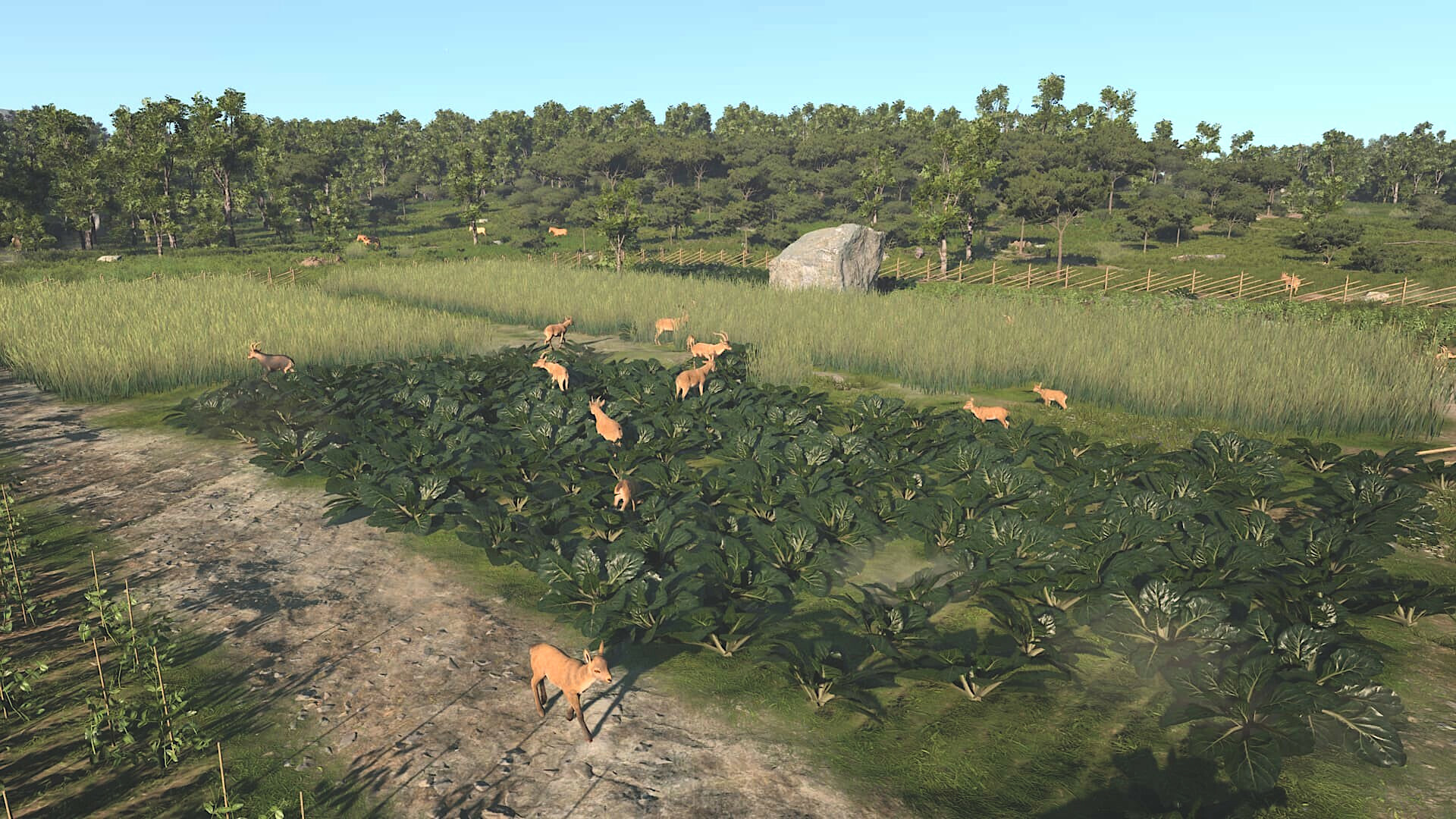图片[11]-古城|Ancient Cities|1.8.34-萌芽游戏